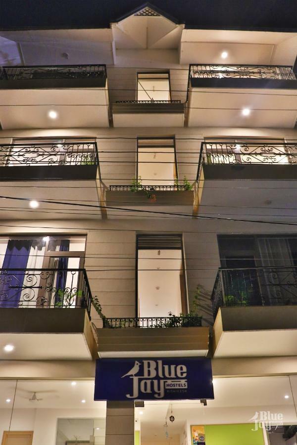The Blue Jay Hostel - Dorms & Rooms Ришикеш Экстерьер фото